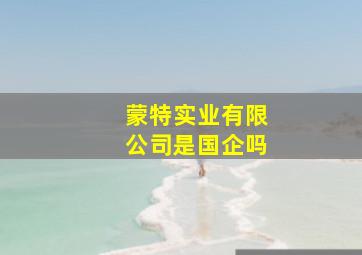 蒙特实业有限公司是国企吗