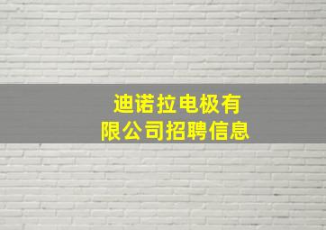 迪诺拉电极有限公司招聘信息